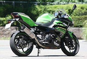 Amazon | ストライカー(STRIKER) スリップオン Ninja250 Ninja400 (18